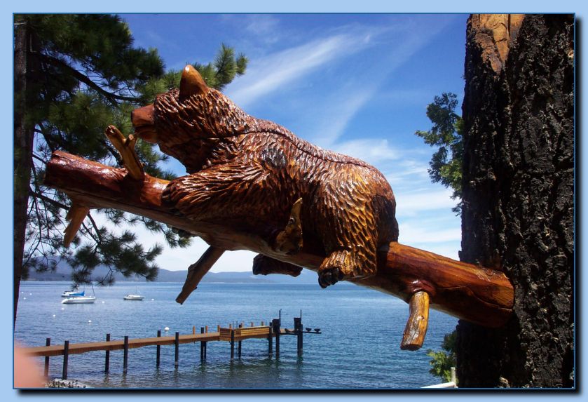 2-39 bears attached to tree-archive-0005